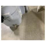 Ninja Steam Carpet Cleaner