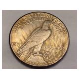 Peace Silver Dollars