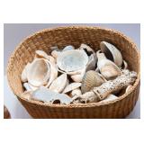 Collection of Shell Baskets and Seashells