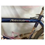 Schwinn Sidewinder Mens Bicycle