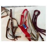 Horse Equipment