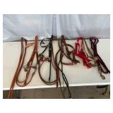 Horse Equipment