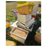 10- NUC Honeybee Boxes