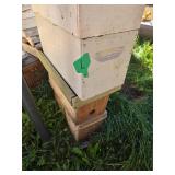 10- NUC Honeybee Boxes