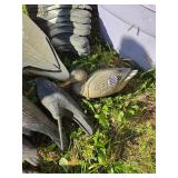 20+ Goose & Duck Decoys