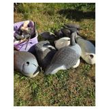 20+ Goose & Duck Decoys