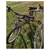 2 Magna Girls Bikes