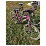 2 Magna Girls Bikes