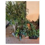 Fake Plants