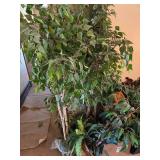 Fake Plants