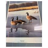 "Evening Trio" duck print by Daniel Smith
