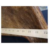 RARE! MASSIVE, HEAVY MOOSE ANTLERS