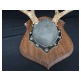 8PT DEER ANTLERS