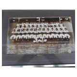 RARE NEW YORK YANKEES 1951 SIGNED PHOTO
