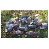 VINTAGE MALARD DECOYS