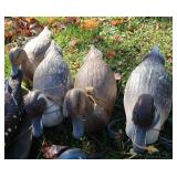 VINTAGE MALARD DECOYS