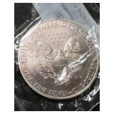 2009 AMERICAN SILVER EAGLE 1 TROY OZ .999 FINE SILVER