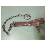 Case of Oneida Victor #1 Long Spring Traps
