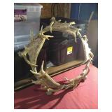"Antler" Wreath