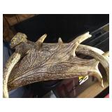 "Antler" Wreath