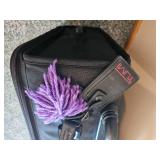 Tumi Overhead Carry-On Luggage Pair