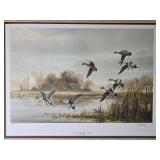 Beautiful Naturalist Fine Art Print - Mary Pettis - Lake Emily Backwater - Pintails