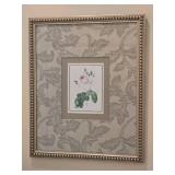 Delightful Fine Art Botanical Print Pair