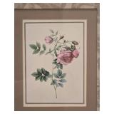 Delightful Fine Art Botanical Print Pair