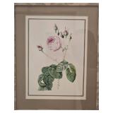 Delightful Fine Art Botanical Print Pair