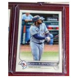 (7) Vladimir Guerrero Jr Cards