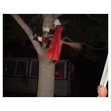 Handmade Wood Witch that ran into a Tree or Post