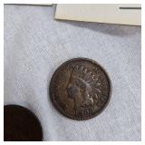5-Indian Head Pennies