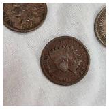 5-Indian Head Pennies