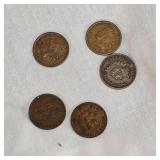 5-Indian Head Pennies