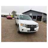 2010 Ford Escape