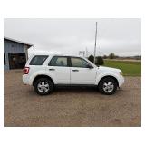 2010 Ford Escape