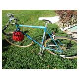 Schwinn Bicycle