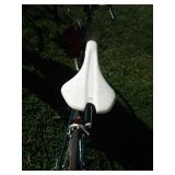 Schwinn Bicycle