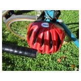 Schwinn Bicycle
