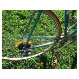 Schwinn Bicycle