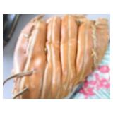 Fielders Gloves