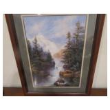 Framed Print, Bear