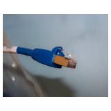 (2) Network Cables