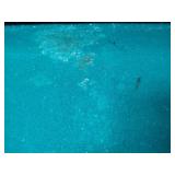 FW Frederick Willys Pool Table