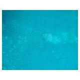 FW Frederick Willys Pool Table