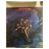 Vinyl Lot 11