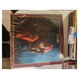 Water Damage Vinyl Albums