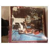 Water Damage Vinyl Albums