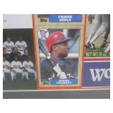 (D-4) Framed Minnesota Twins 1987 W...