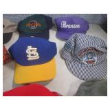 (BS) 12 Assorted Caps...